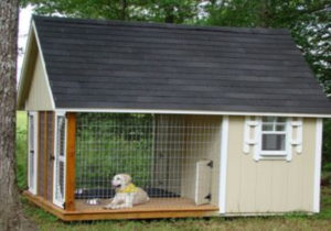 Pet Cages - A Vital Requirement to ensure Safety | JDV-Animals