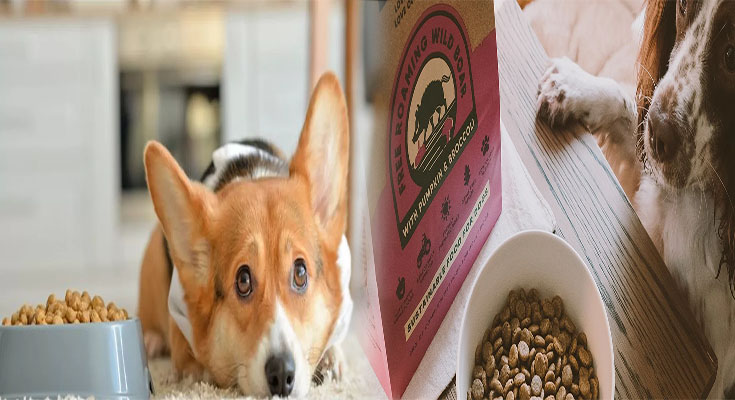 Affordable Dog Foods with High Fiber Content for Sensitive Stomachs