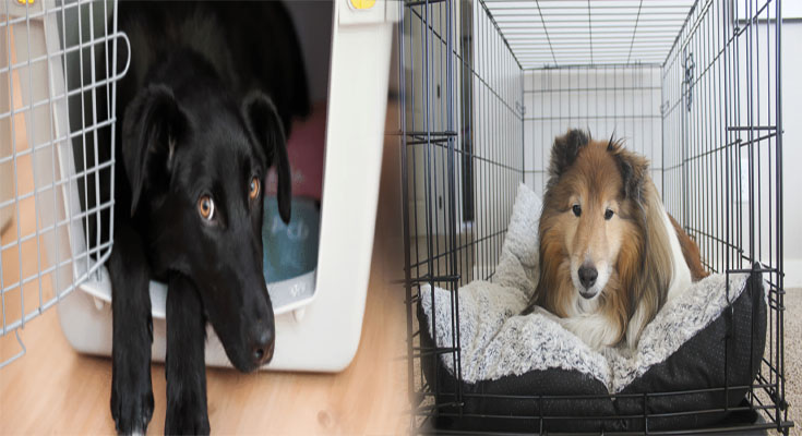 Discover the Best Dog Crate Furniture with Built-In Storage Options