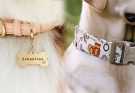 Elevate Your Pup's Style with Fashionable Dog Collars for Female Dogs Featuring Customizable Name Tags