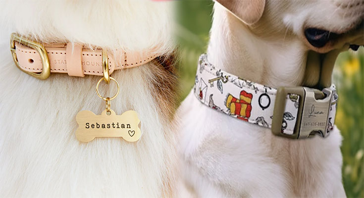 Elevate Your Pup's Style with Fashionable Dog Collars for Female Dogs Featuring Customizable Name Tags