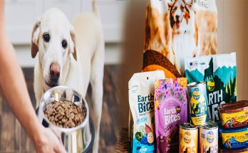 Grain-Free Dog Foods High in Fiber for Allergies