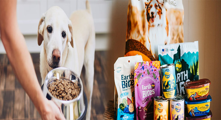 Grain-Free Dog Foods High in Fiber for Allergies