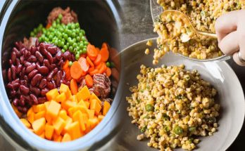 Homemade Dog Food Recipes Rich in Fiber for Better Digestion