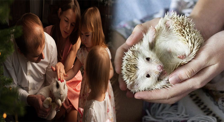 The Best Exotic Pets for Families with Young Children