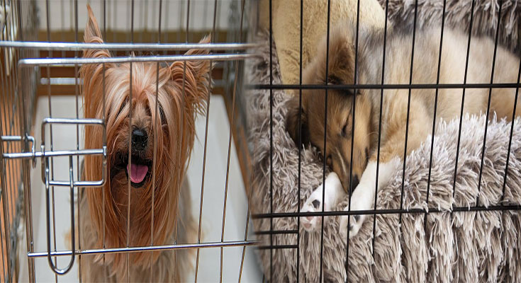 The Ultimate Guide to Durable and Easy-to-Clean Dog Crate Furniture for Large Breeds