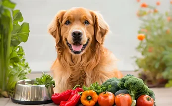 Understanding What Makes Dog Food Healthy