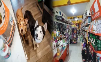 Affordable Pet Stores with Free Delivery Near You